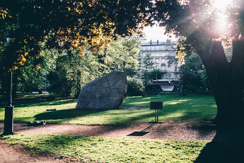 Serenity in Urban Nature