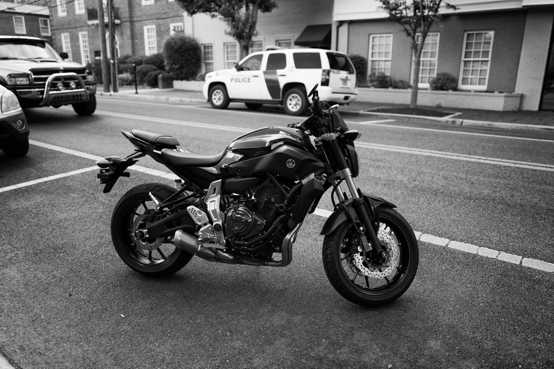 Urban Steel Stallion