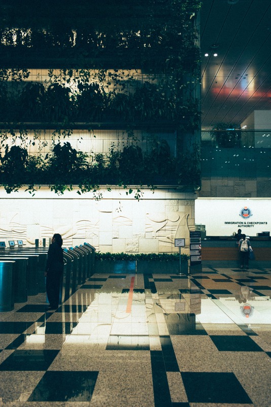 Urban Serenity at the Terminal