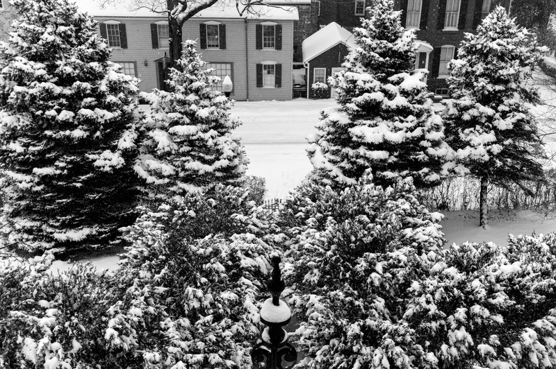 Winter's Still Embrace