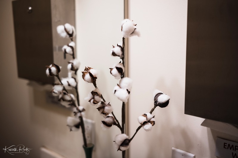 Fragile Beauty of Cotton