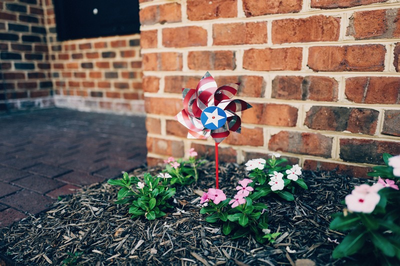 Whimsical Garden Delight