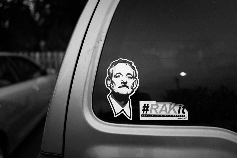 Whimsical Encounters