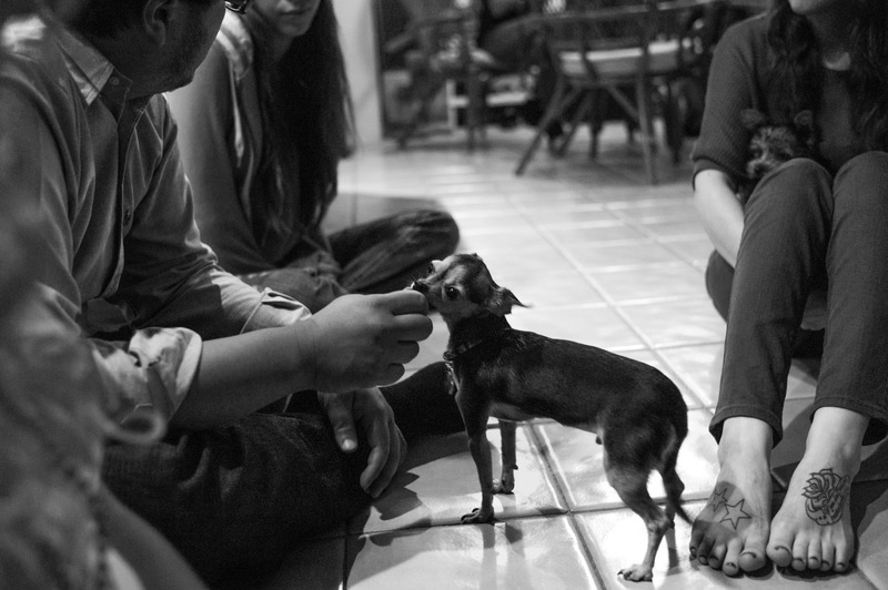 Intimate Moments with a Pet