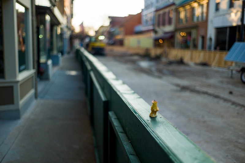 Lonely Toy in the City