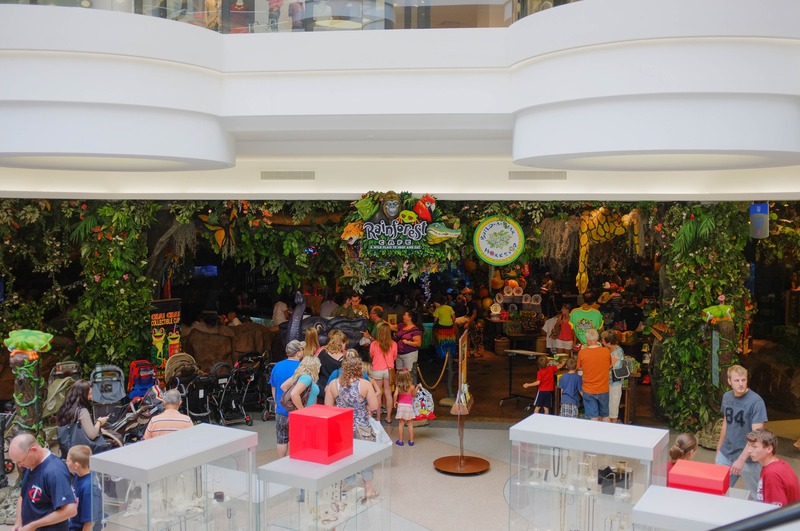 A Vibrant Jungle of Activity