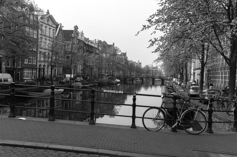 Eternal Stillness in Black and White