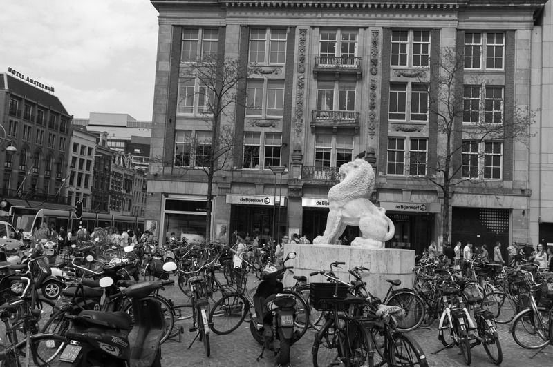 Urban Lion Amidst Life