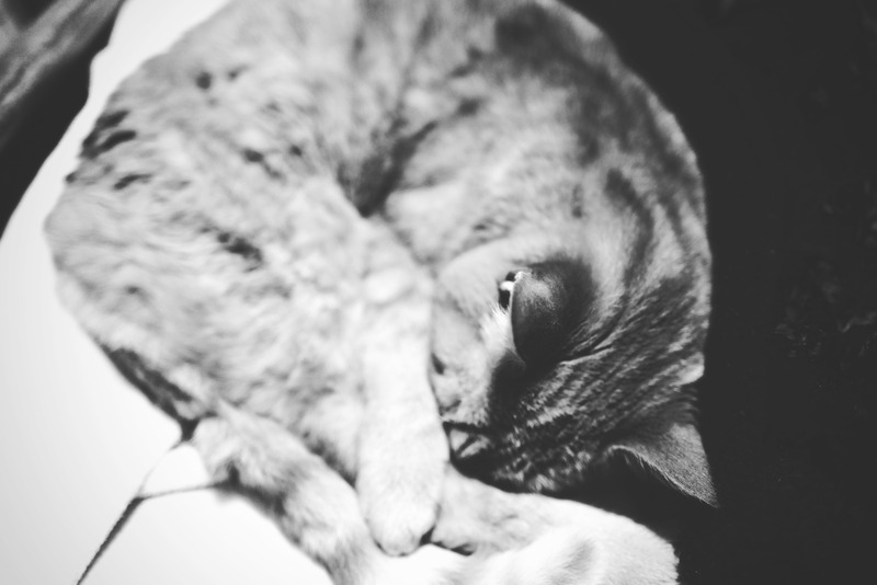 Quiet Moments of Solitude