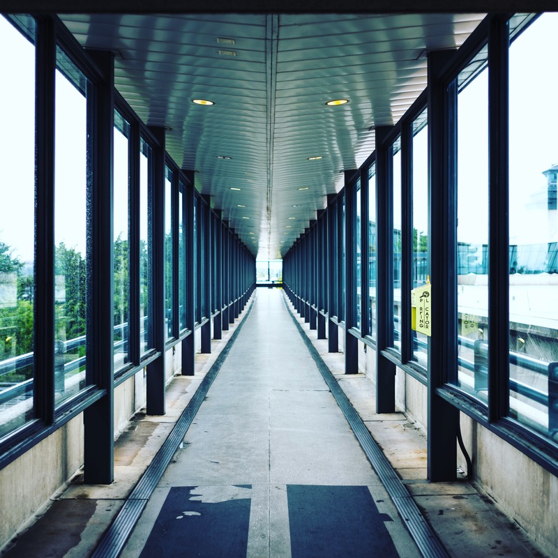 Pathway Through Glass