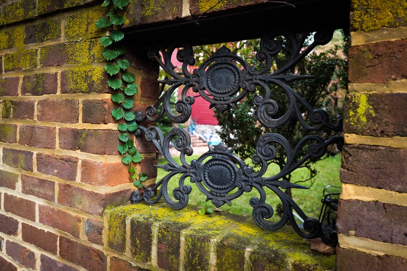 Framed Nature's Embrace