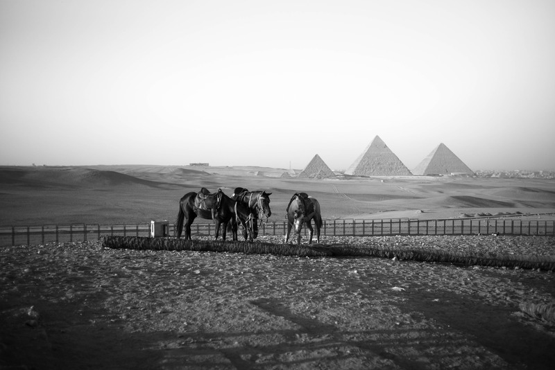 Ethiopian Pyramids and Horses