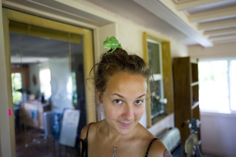 Unexpected Companion