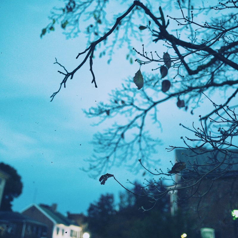 Silent Evening Whispers