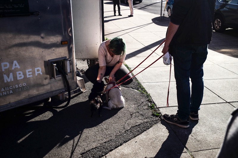 Urban Pet Connections