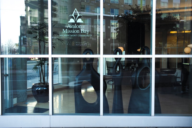 Modern Elegance in Glass