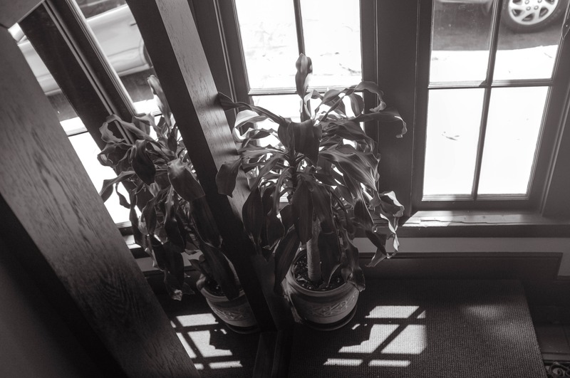 Quiet Corner of Nature