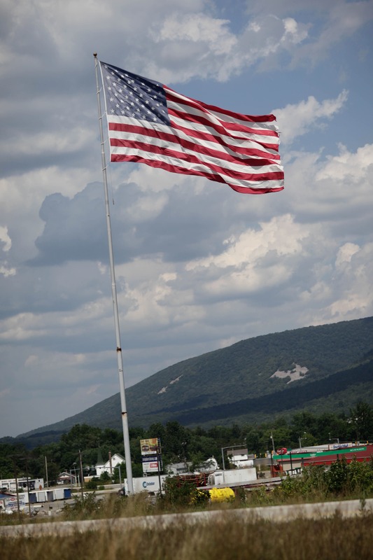 Waving Emblem of Freedom