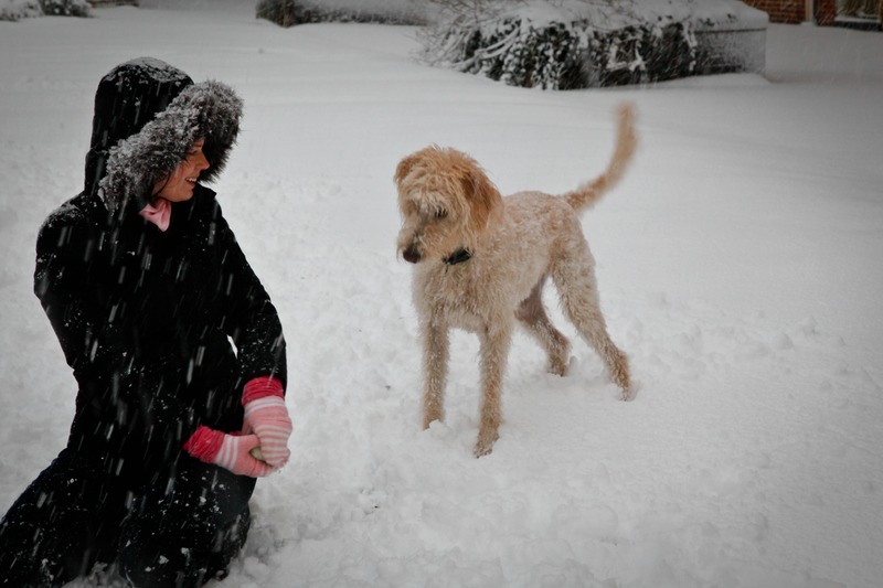 Winter Playtime Delight