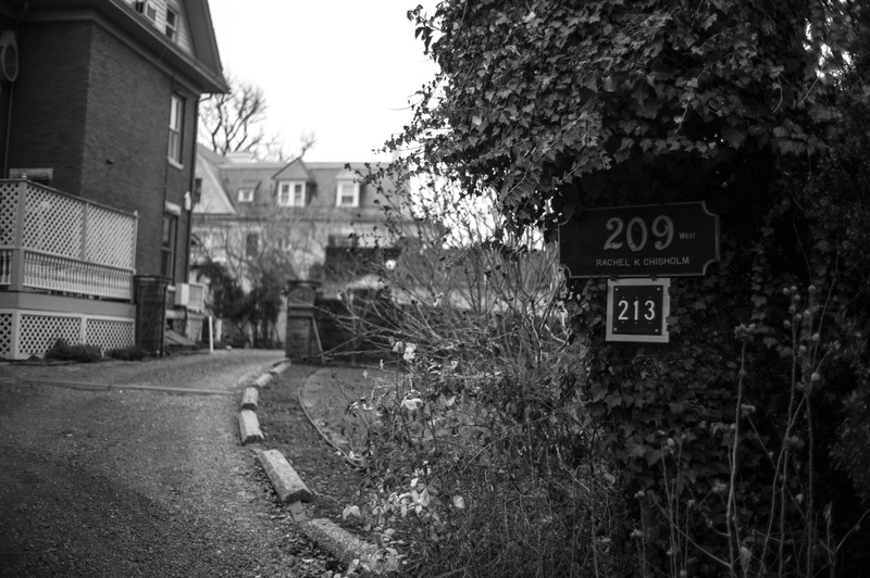 Whispers of the Past