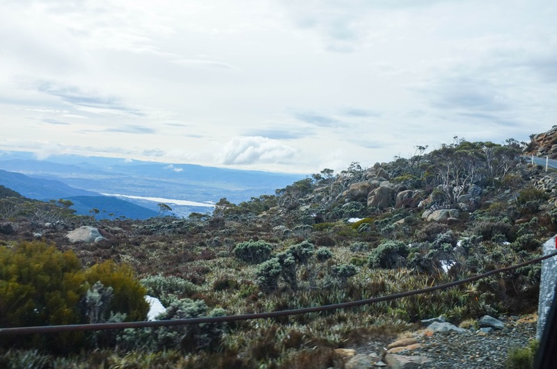 Serene Mountain Vista