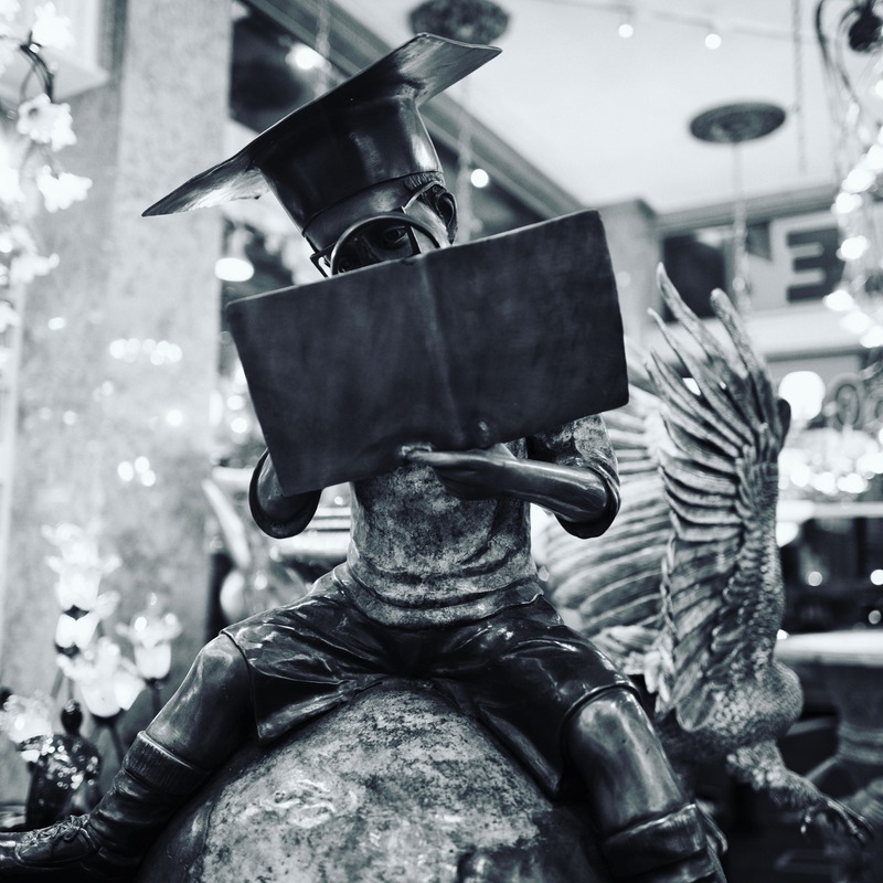 The Scholar on the Globe