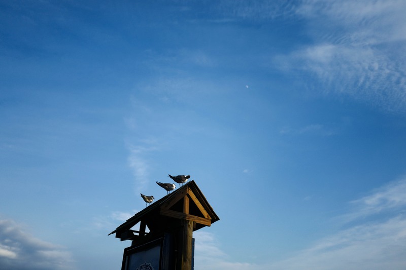 Sentinels of the Sky