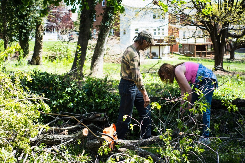 Restoration in the Sunshine