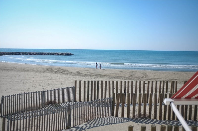 Tranquil Beach Stroll
