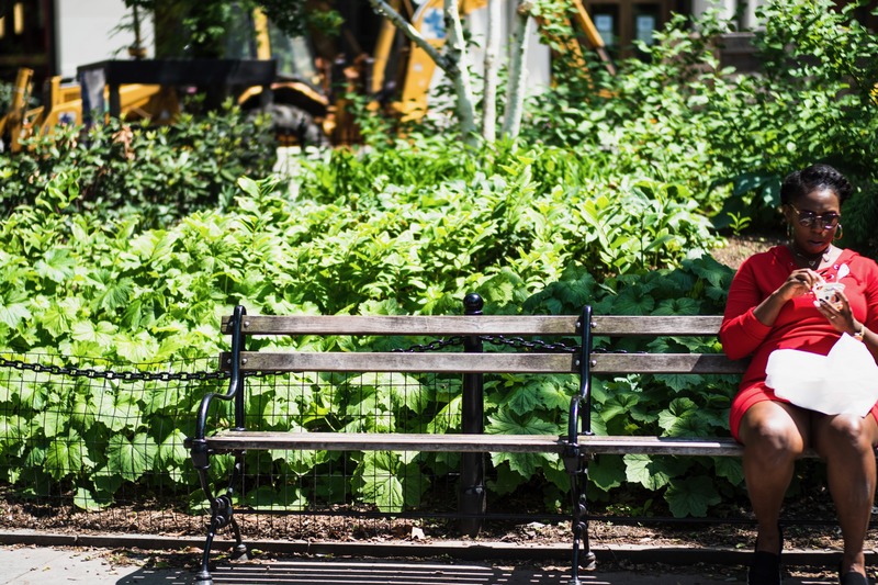 Quiet Moment in the Park