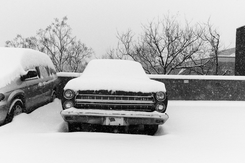 Winter's Silent Embrace