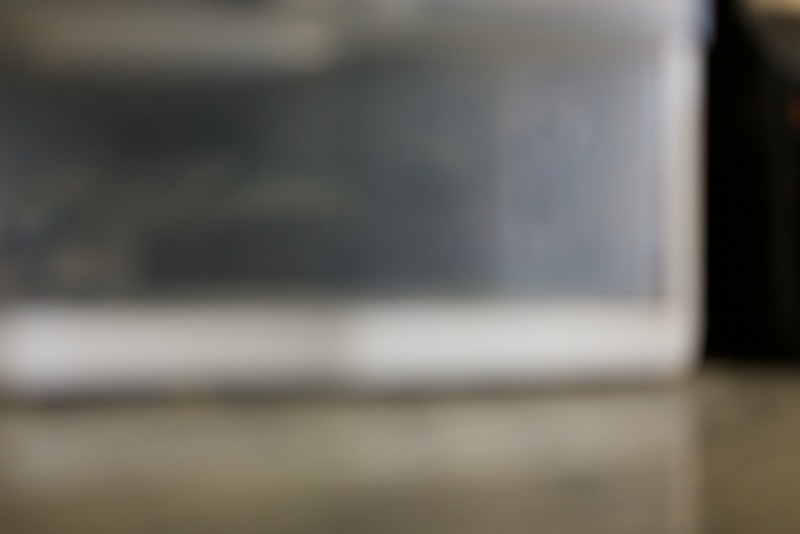 Abstract Blur of Everyday Life