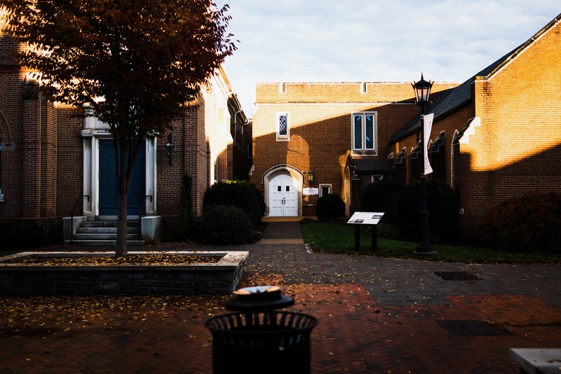 Autumn's Quiet Embrace