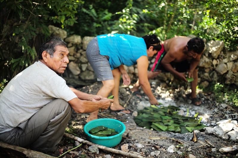 Harvesting Tradition