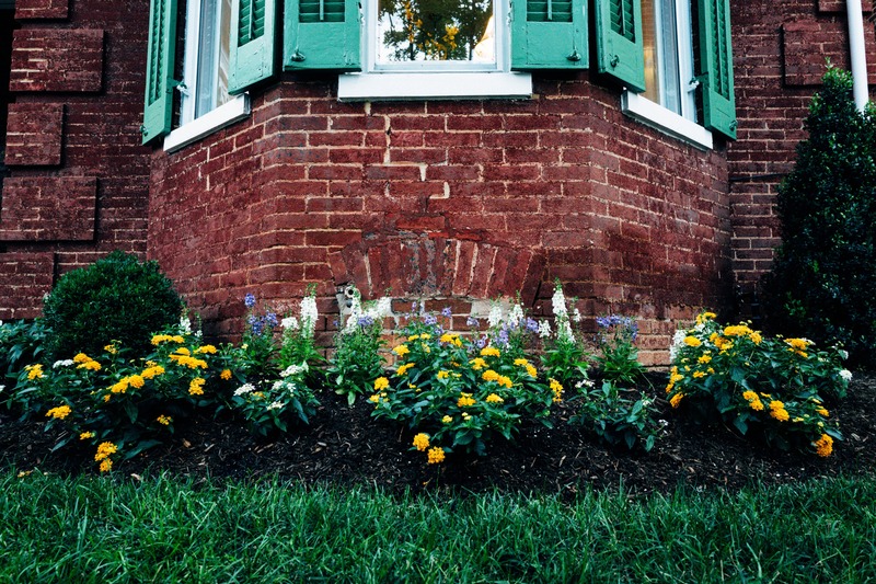 Charming Corner of Nature