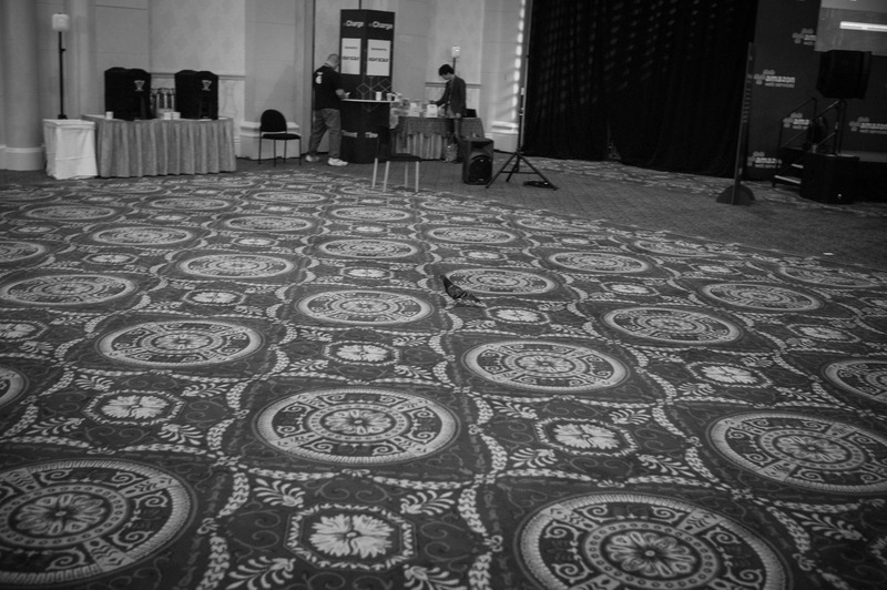 Echoes of Anticipation