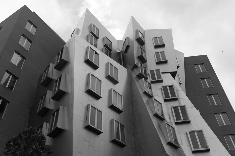 Dynamic Architectural Ascent