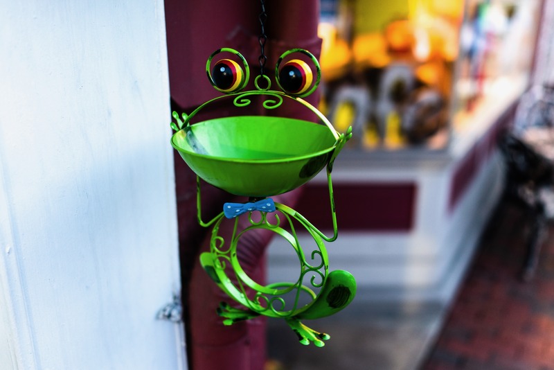 Playful Frog Decor