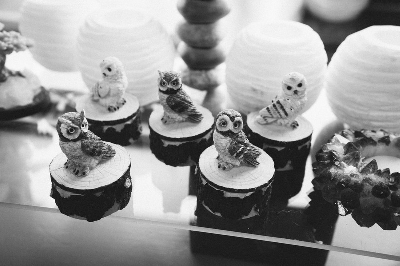 Whimsical Owls in Monochrome