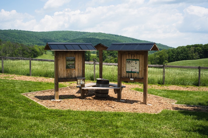 Welcome to the Wilderness