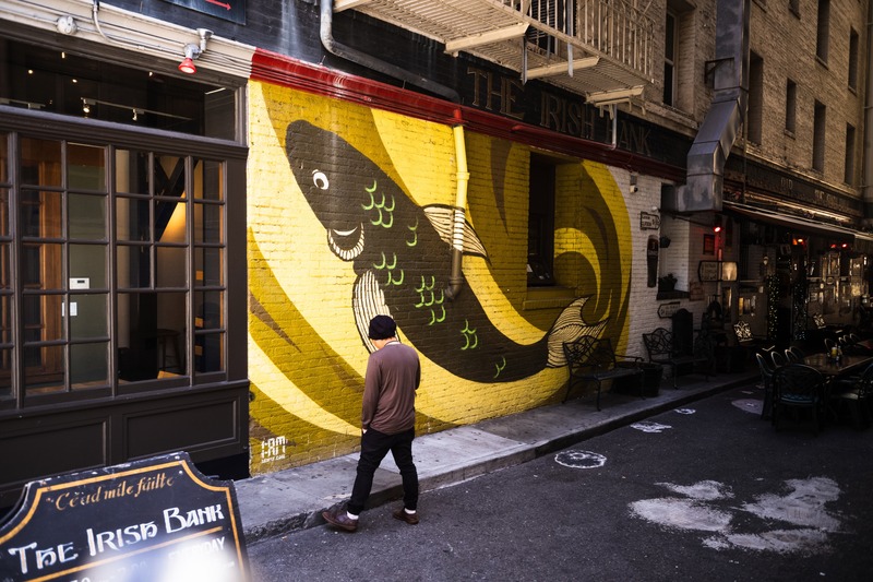 Urban Shadows and Vibrant Murals