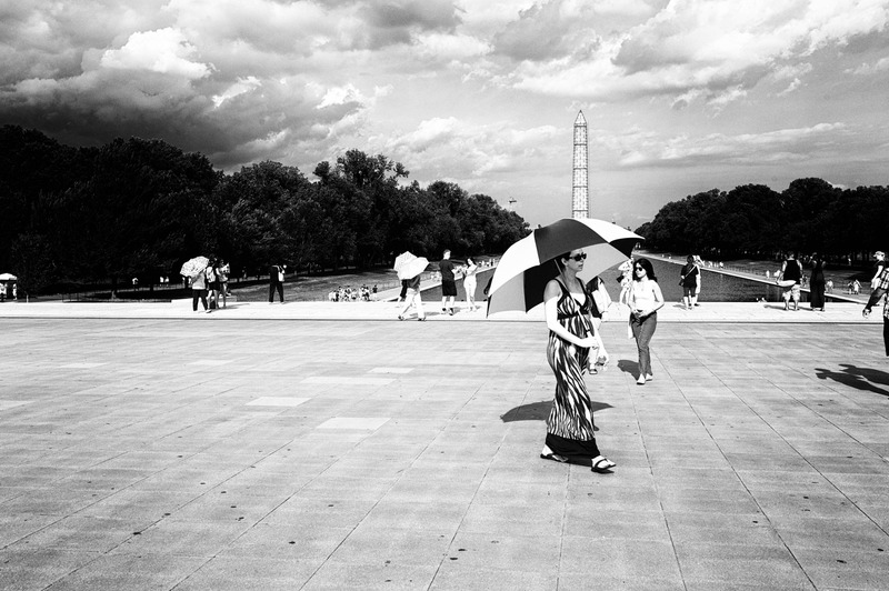 Summer Stroll under Shadows