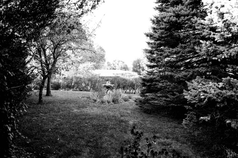 Serenity in Monochrome