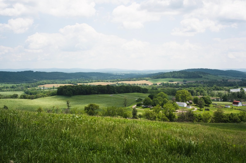 Serene Countryside Vista