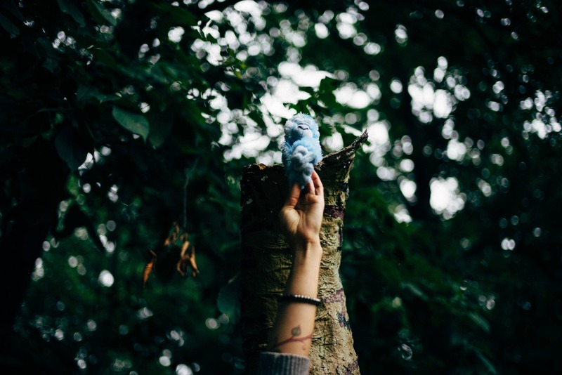 Whimsical Encounter in the Woods