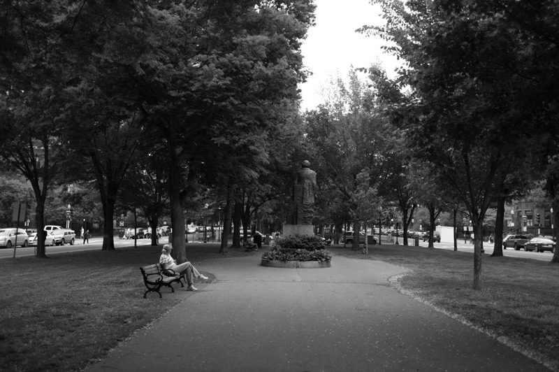 Quiet Moments in the Park