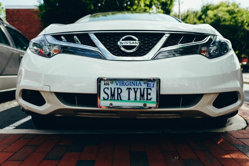 Whimsical License Plate