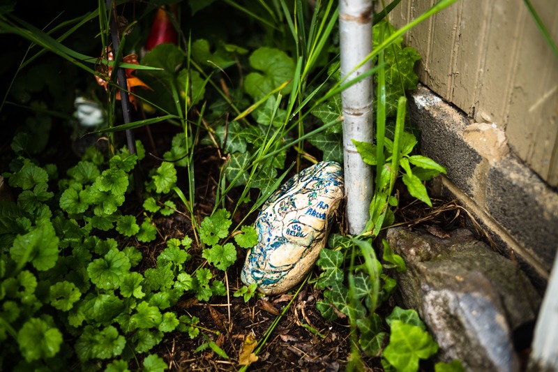 Hidden Wonder: A Painted Stone