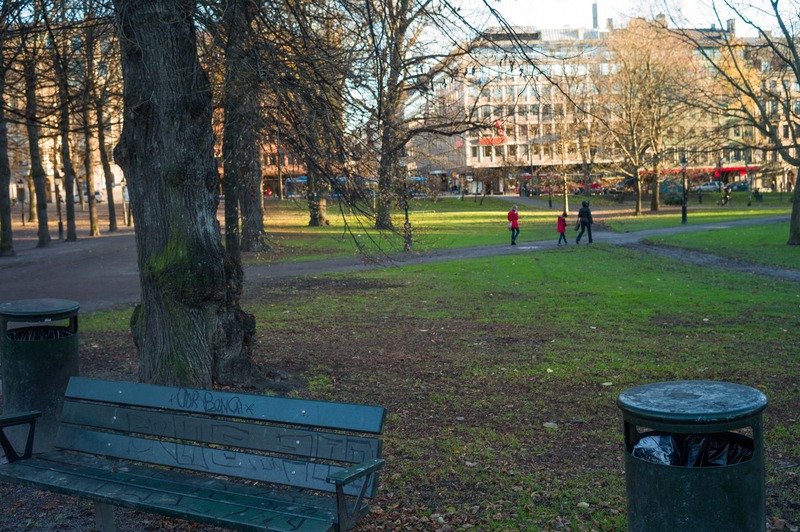 A Serene Stroll in the Park