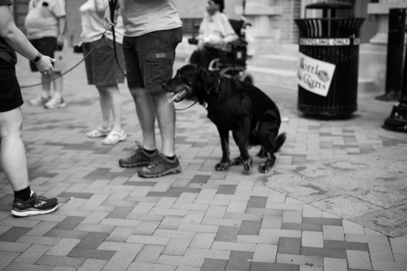 Moment in Monochrome